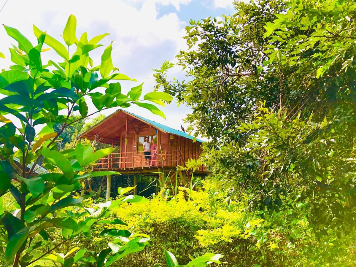 Sungreen Cottage Sigirîya Extérieur photo