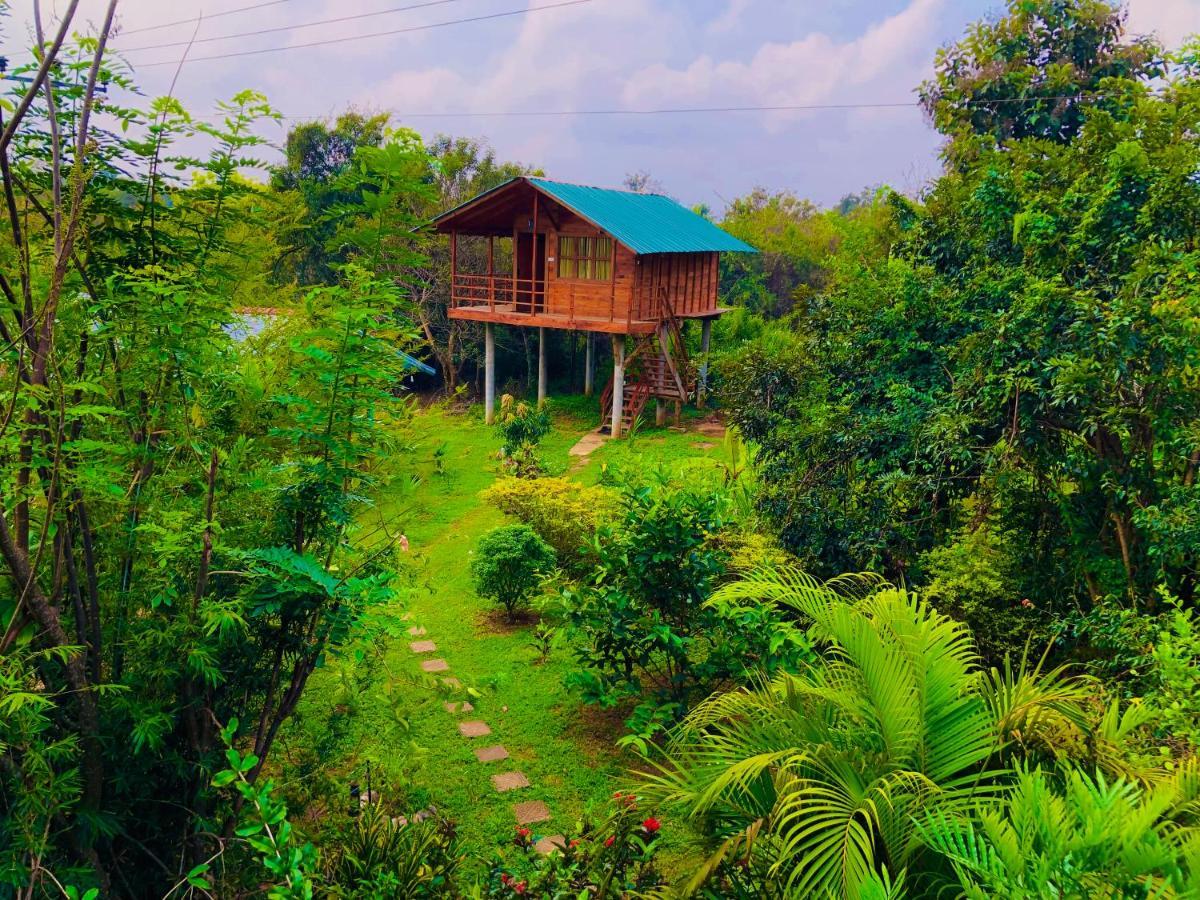 Sungreen Cottage Sigirîya Extérieur photo