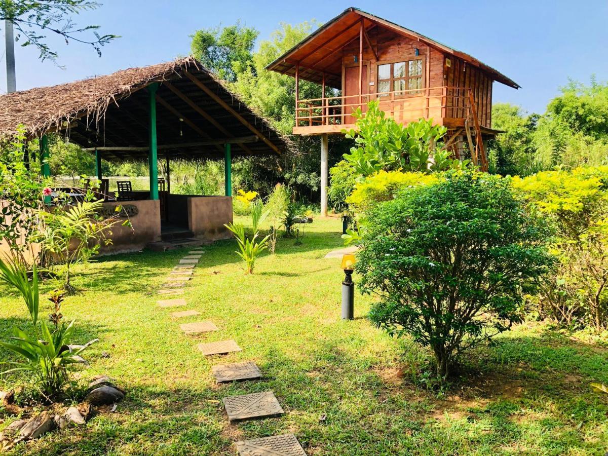 Sungreen Cottage Sigirîya Extérieur photo
