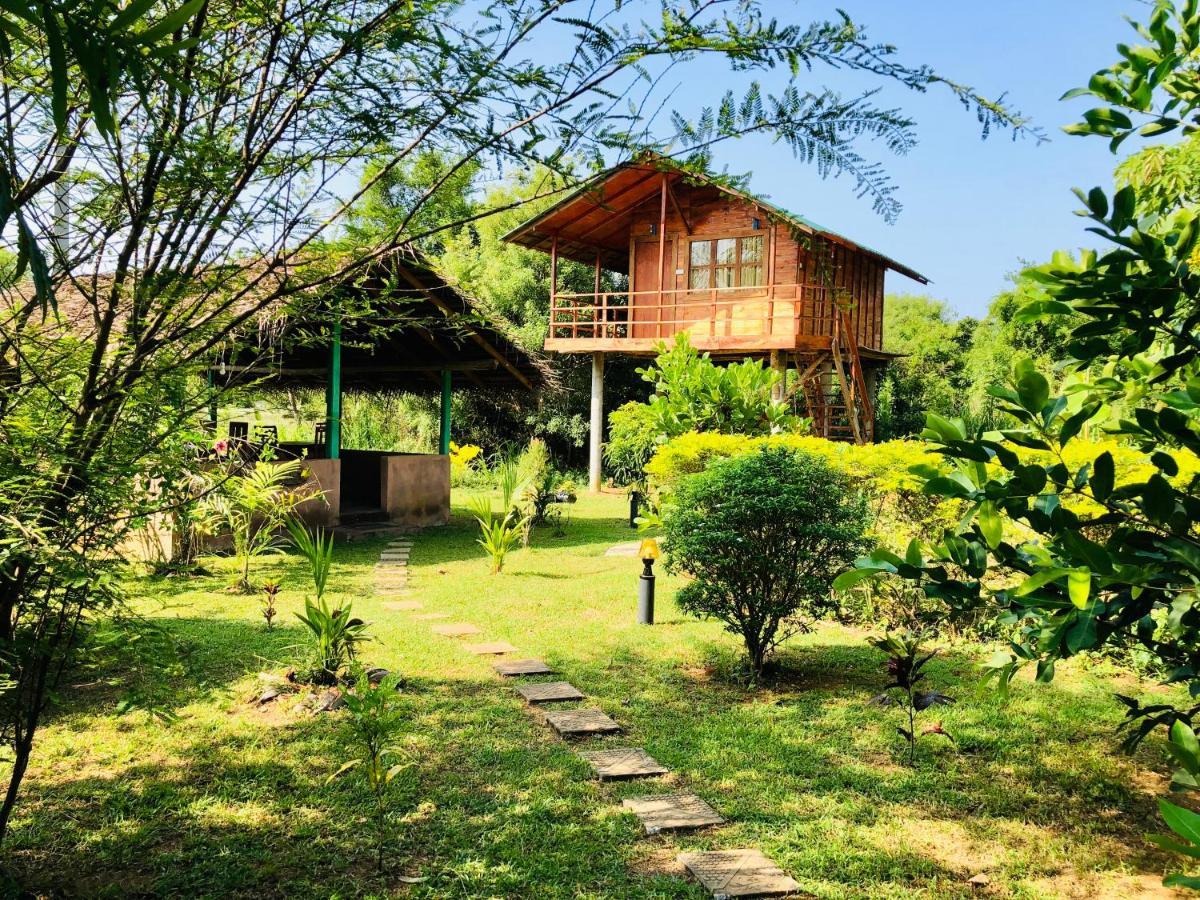 Sungreen Cottage Sigirîya Extérieur photo